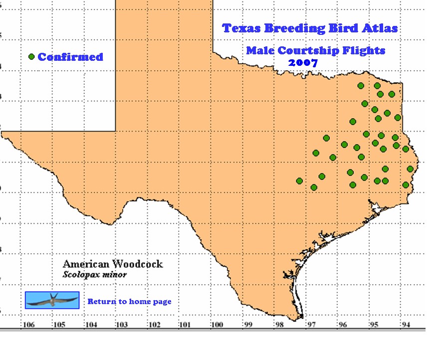Texas Breeding Bird Atlas map - Male Courtship Flights