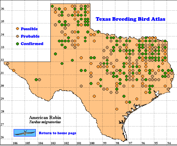 AMERICAN ROBIN  The Texas Breeding Bird Atlas
